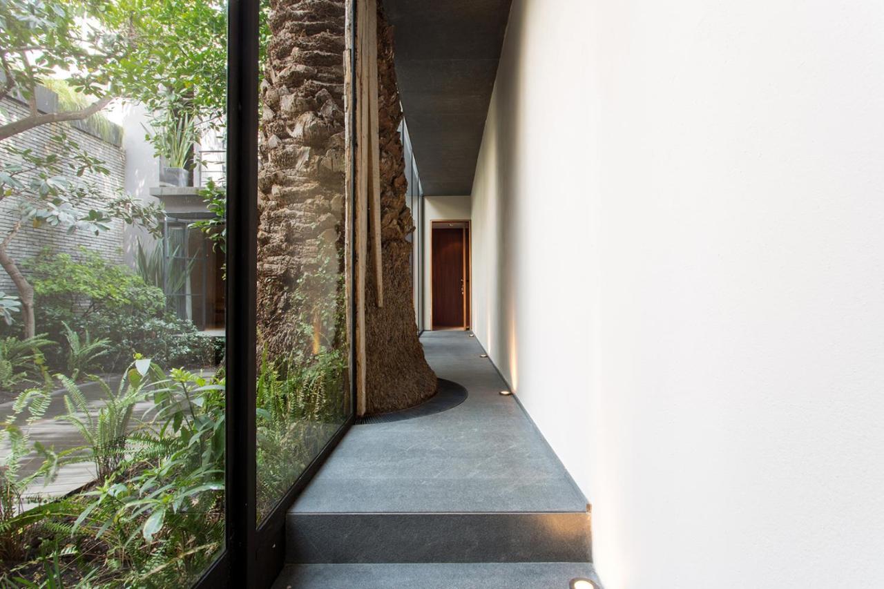 Hotel Casa 9 México DF Exterior foto